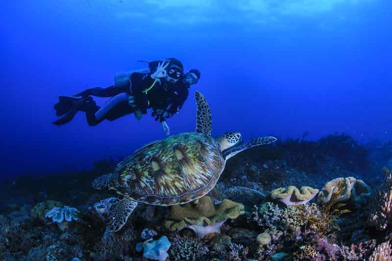 Wyprawa nurkowa do Hurghady w Egipcie!