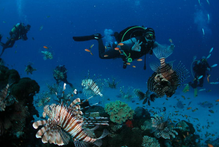 Kurs nurkowania Warszawa wyjazd na malediwy