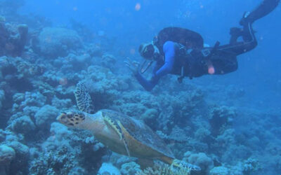 Wyprawa do Egiptu (Hurghada) kwieceń 2024!