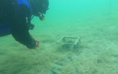 Mikołajki z Habibim! 🤶🤶🤶 8-10.12.2023