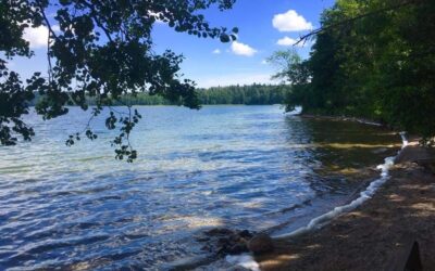 Długi weekend z Habibim nad Jeziorami Narie i Wuksniki!