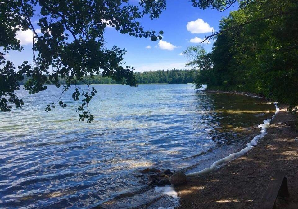 Długi weekend z Habibim nad Jeziorami Narie i Wuksniki!