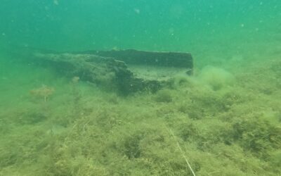 Jezioro Tarnobrzeskie (18-20.08.2023)