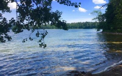 Długi weekend z Habibim nad Jeziorami Narie i Wuksniki! (Boże Ciało 30.05.2026 – 02.06.2024)