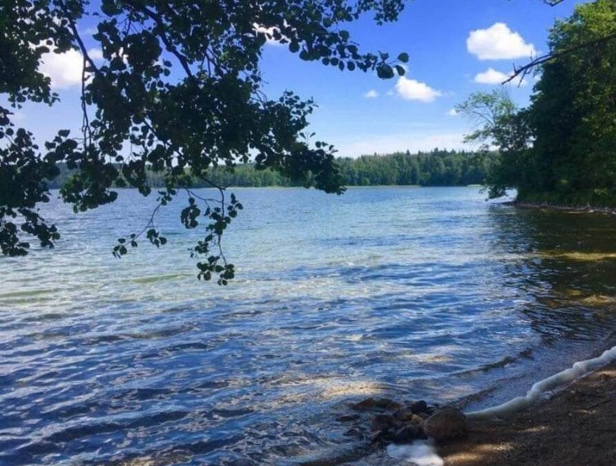 Długi weekend z Habibim nad Jeziorami Narie i Wuksniki! (Boże Ciało 30.05.2026 – 02.06.2024)